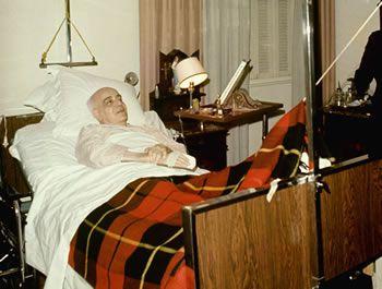 Sufre por mis ovejas