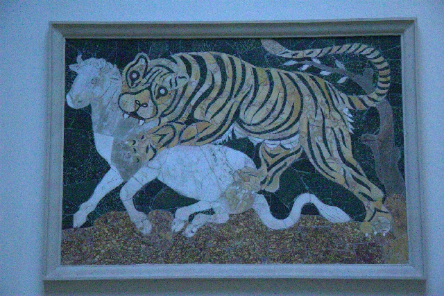 Tigrisetagnuscordeiroetigrelambandtiger