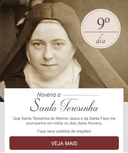 NOVENA A SANTA TERESINHA DO MENINO JESUS: RECEBA UMA CHUVA DE ROSAS!