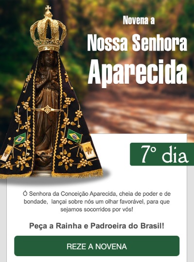 NOVENA A MÃE APARECIDA: RAINHA DA FAMÍLIA, PROTEGEI NOSSO LAR!
