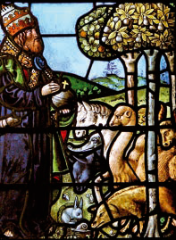 Dio crea gli animali