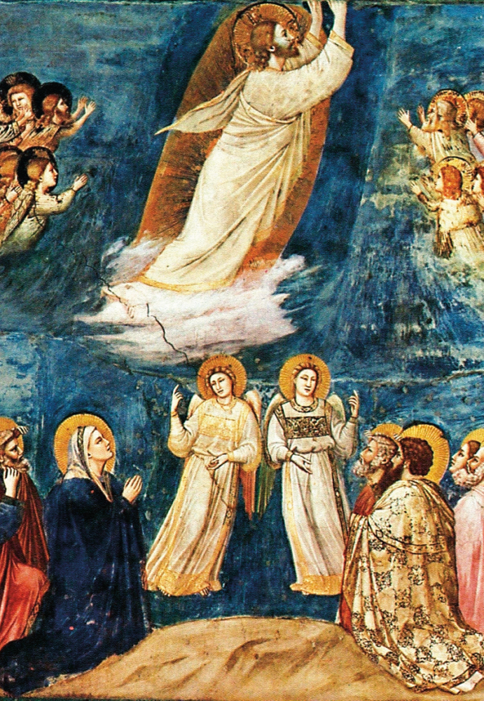 Solennità dell’Ascensione del Signore – Anno – C.