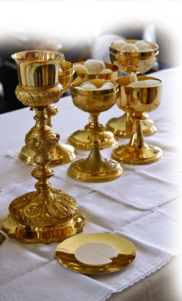 I pani moltiplicati da Nostro Signore sono immagine di un alimento spirituale, l’Eucaristia, che si moltiplica nel mondo intero per portare gli uomini in Cielo